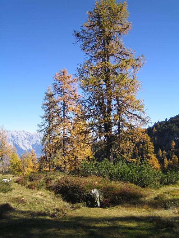 Appartement Ginschel Altenmarkt im Pongau Zewnętrze zdjęcie