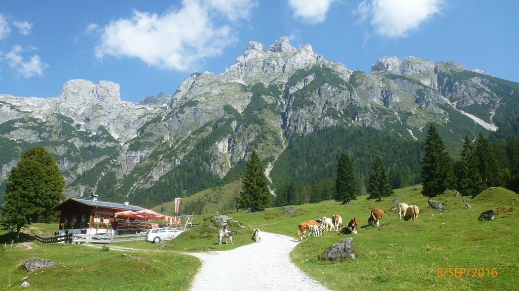 Appartement Ginschel Altenmarkt im Pongau Zewnętrze zdjęcie